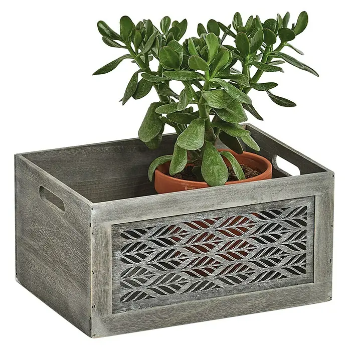 Zeller Present Aufbewahrungsbox Leaves L - L x B x H: 350 x 250 x 180 mm, Holz, Grau - Diagonale Ansicht