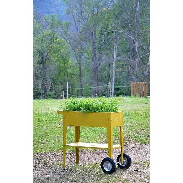 Kräuterhochbeet - L x B x H: 85 x 50 x 80 cm, Mustard - Stimmungsaufnahme