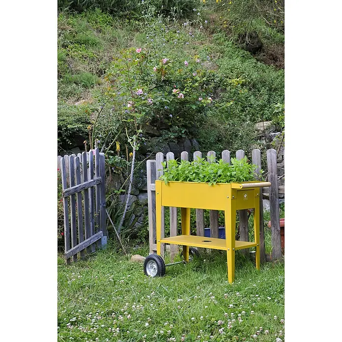 Kräuterhochbeet - L x B x H: 85 x 50 x 80 cm, Mustard - Stimmungsaufnahme