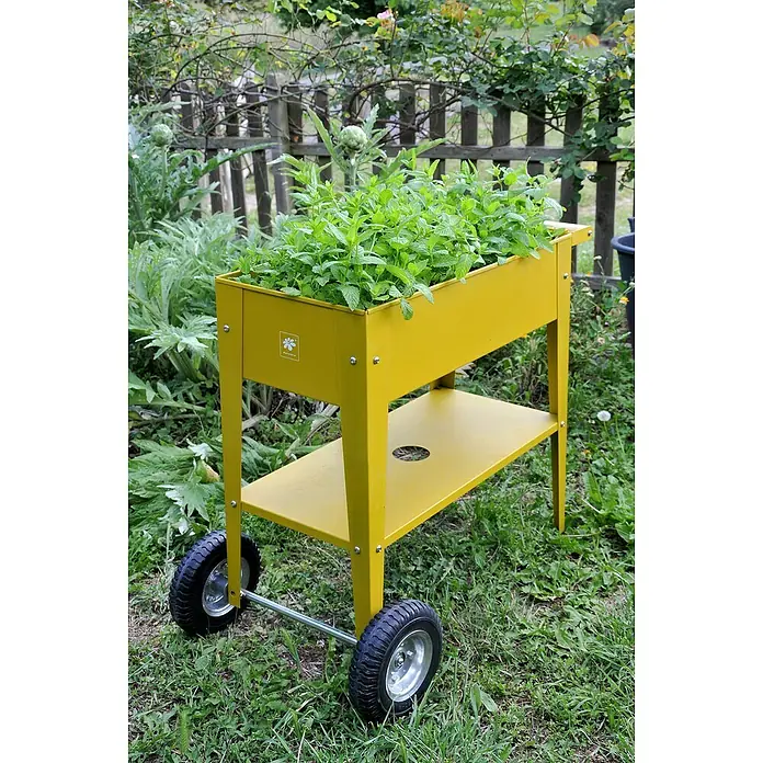 Kräuterhochbeet - L x B x H: 85 x 50 x 80 cm, Mustard - Stimmungsaufnahme