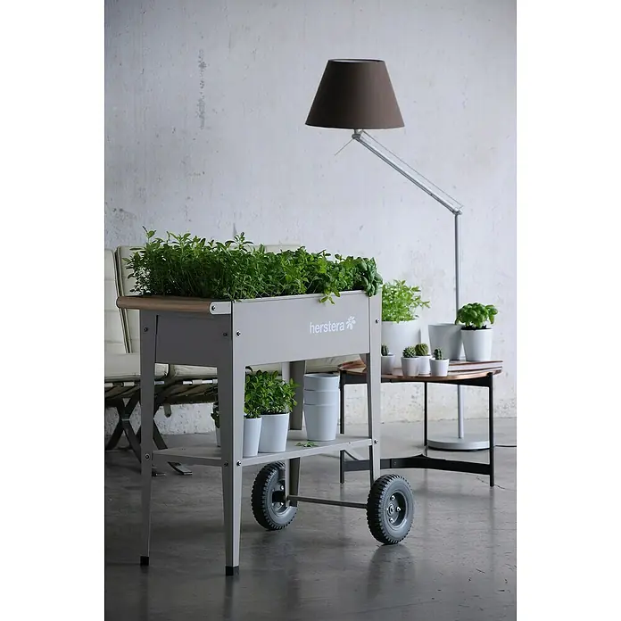 Herstera_Garden Kräuterhochbeet Liso - Taupe, 85 x 50 x 80 cm, Stahl - Stimmungsaufnahme