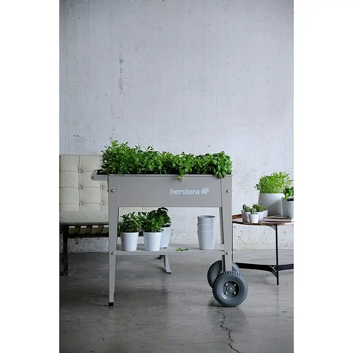 Herstera_Garden Kräuterhochbeet Liso - Taupe, 85 x 50 x 80 cm, Stahl - Stimmungsaufnahme