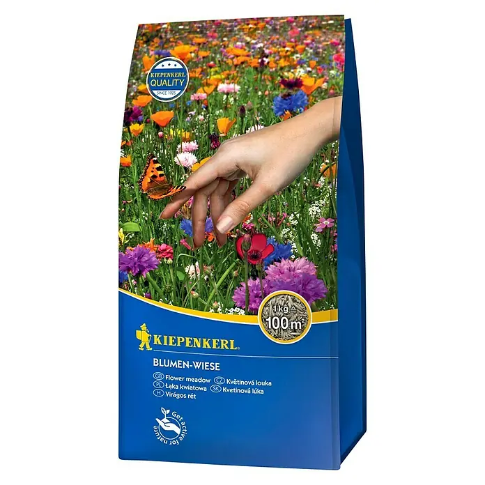 Kiepenkerl Wildblumensamen - 100 m² - Vorderansicht