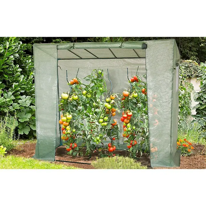Gardol Staklenik za rajčice - 200 x 77 x 169 cm - Proizvod u upotrebi