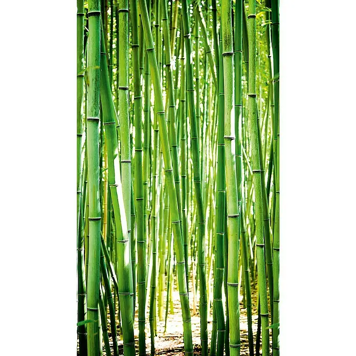 Dutch Wallcoverings Fotobehang Mural Bamboo - b x h: 159 x 280 cm, Vlies - Close-up