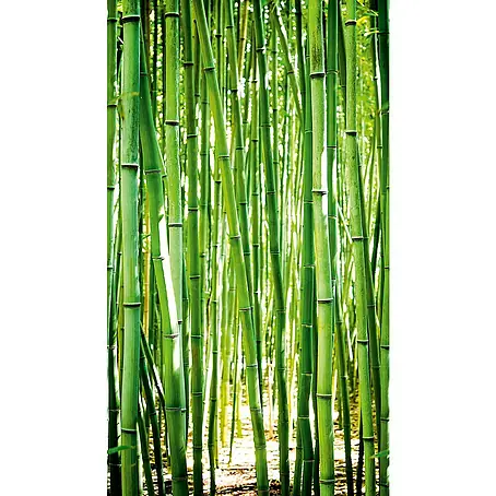 Dutch Wallcoverings  Fotobehang Mural Bamboo