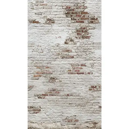 Dutch Wallcoverings  Fotobehang Mural White Brick