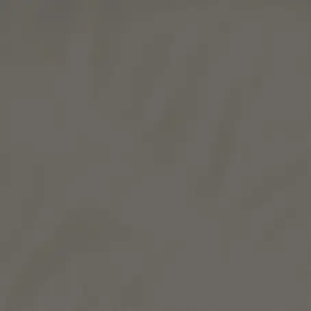 Dutch Wallcoverings  Vliesbehang Uni Bruin 7355-4