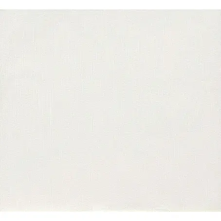 Dutch Wallcoverings  Vliesbehang Uni Wit 56501