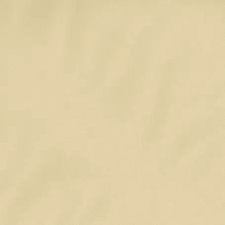 Dutch Wallcoverings  Vliesbehang Uni Crème