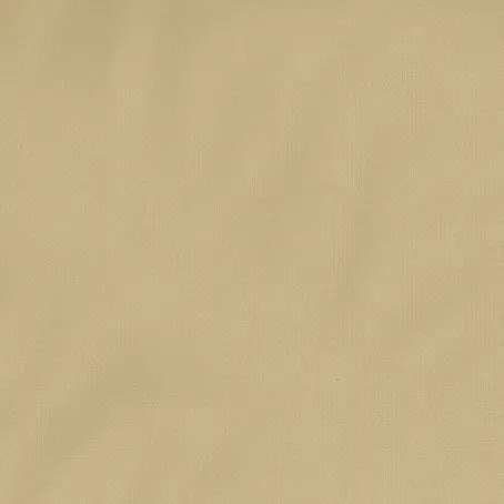 Dutch Wallcoverings  Vliesbehang Uni Beige 7355-3
