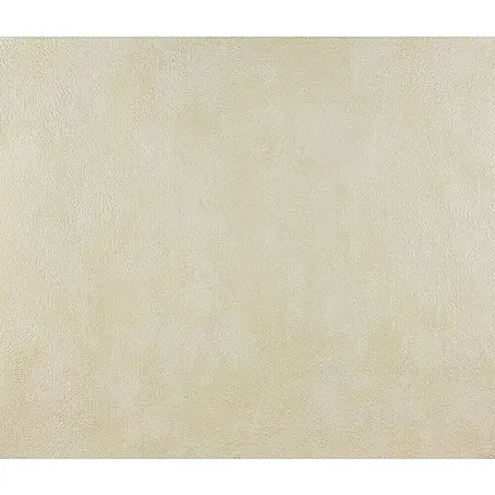 Dutch Wallcoverings  Papierbehang Beige