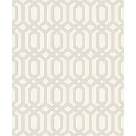 Dutch Wallcoverings  Vliesbehang Myriad Kerala Trelliwit/Zilver