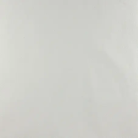 Dutch Wallcoverings  Vliesbehang Uni Wit 7272-0
