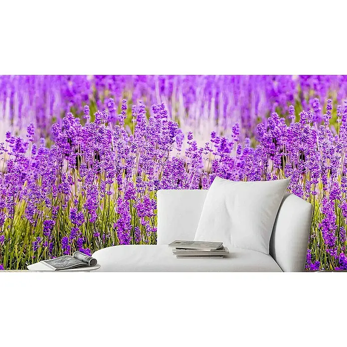 Dutch Wallcoverings Fotobehang Mural Lavender - b x h: 159 x 280 cm, Vlies - Sfeeropname