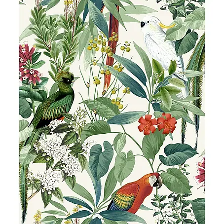 Dutch Wallcoverings  Vliesbehang Tropische Vogels Groen