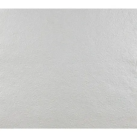 Dutch Wallcoverings  Papierbehang Uni Wit 2260