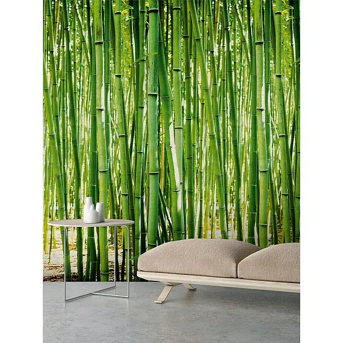 Dutch Wallcoverings Fotobehang Mural Bamboo - b x h: 159 x 280 cm, Vlies - Sfeeropname