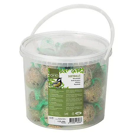 Mezenbollen 30 stuks