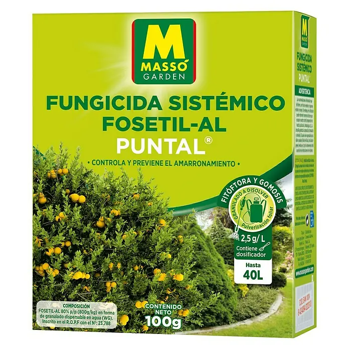 Massó Fungicida Sistémico Puntal - 100 g - Vista angular