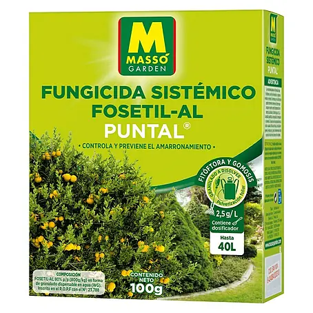 Massó  Fungicida Sistémico Puntal