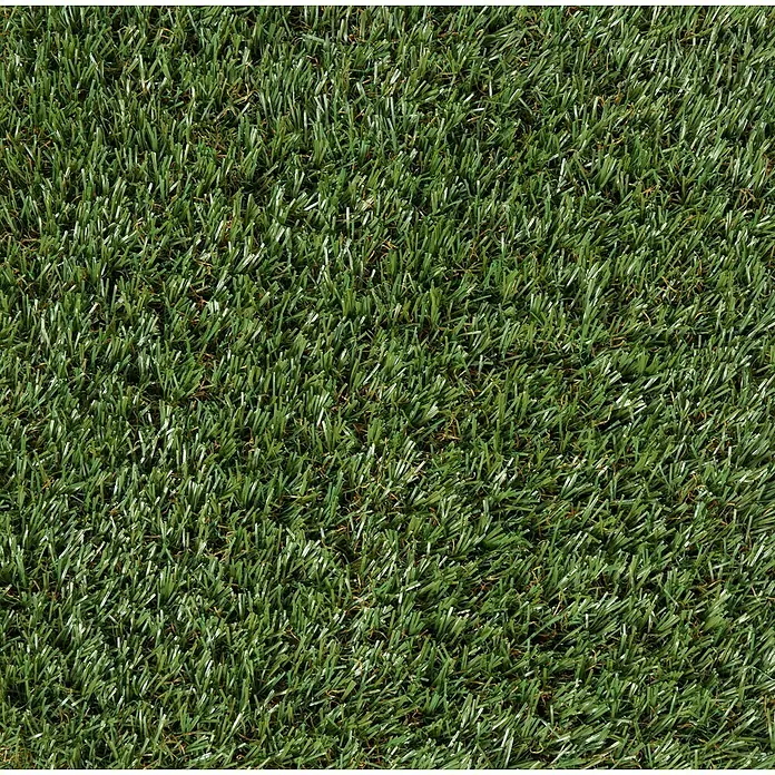 Tuftrasen Olympic - 200 x 100 cm, Grün - Detailaufnahme