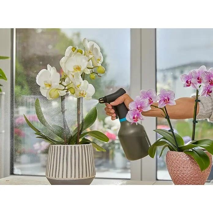 Gardena Prskalica za cvijeće - Crne boje, 0,75 l - Proizvod u upotrebi