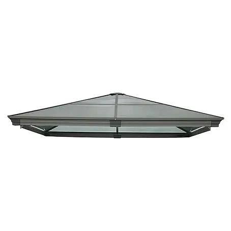 Sunfun  Ersatz-Dachplatte Reo & Poly