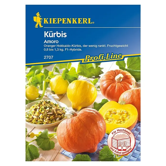 Kiepenkerl Gemüsesamen Kürbis Amoro - Cucurbita maxima, Erntezeit: September - Vorderansicht