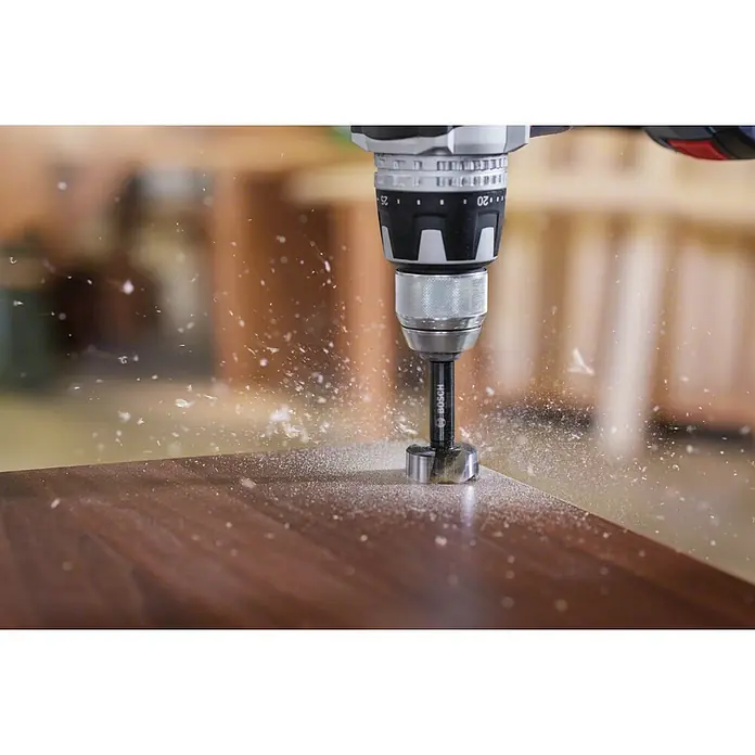 Bosch Professional Forstnerbohrer - Durchmesser: 24 mm, Durchmesser Schaft: 8 mm - Detailaufnahme