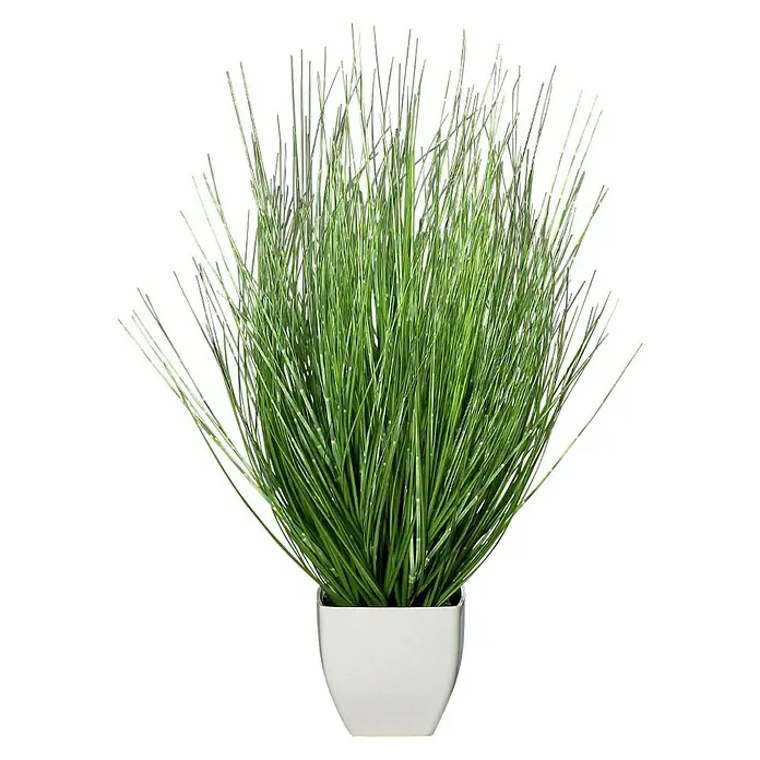 Kunstpflanze California-Beach-Gras - Höhe: 59,9 cm, Kunststoff - Vorderansicht