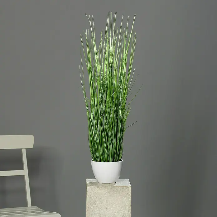 Kunstpflanze California-Beach-Gras - Höhe: 74 cm, Kunststoff - Stimmungsaufnahme