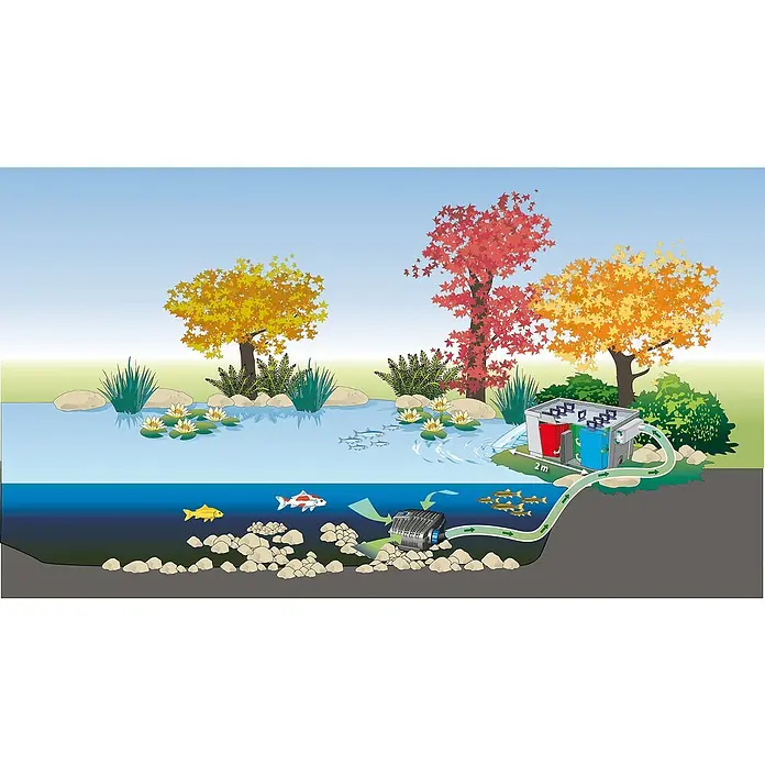 Oase Durchlauffilter-Set BioSmart 36000 - Filterleistung: 100 W, Fördermenge pro Std.: 11.500 l - Anwendungsbeispiel
