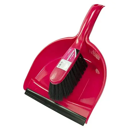 Rozenbal  Cepillo de limpieza con recogedor