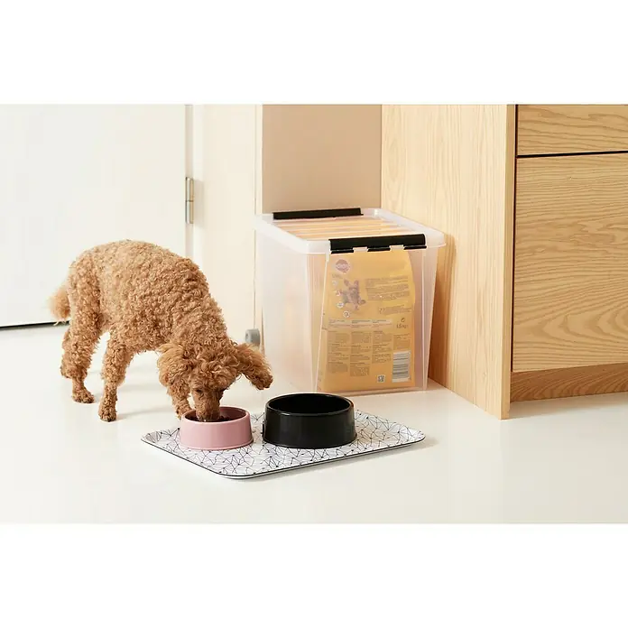 SmartStore Aufbewahrungsbox Classic - L x B x H: 40 x 30 x 32 cm, Kunststoff, Transparent - Stimmungsaufnahme