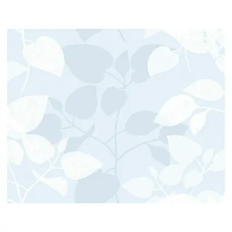 D-c-fix Static Premium Glasfolie
