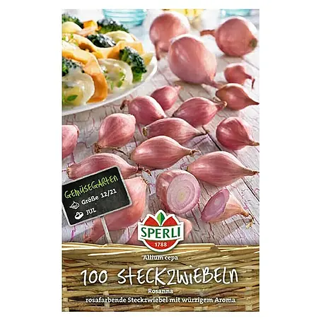 Sperli  Steckzwiebeln Rosanna