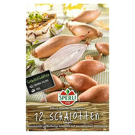Sperli  Schalotten Longor