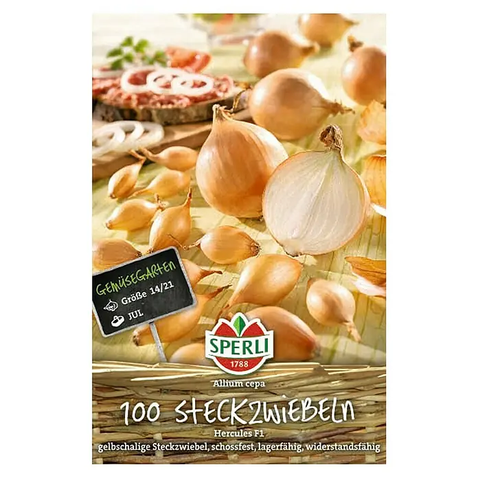 Sperli Steckzwiebeln Hercules -  - Draufsicht