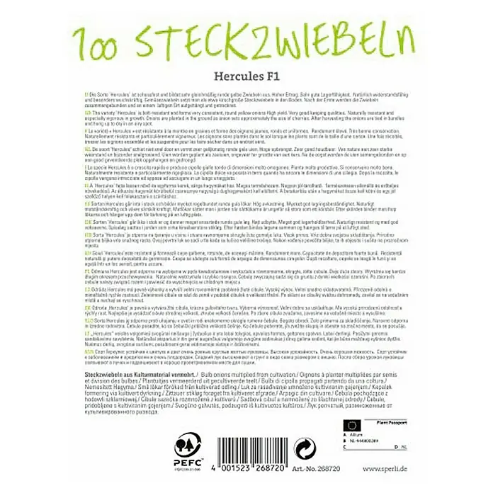 Sperli Steckzwiebeln Hercules -  - Rückansicht