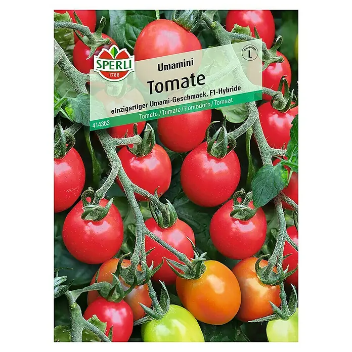 Sperli Gemüsesamen Cherrytomate Umamini - Solanum lycopersicum, Erntezeit: Juli - Draufsicht