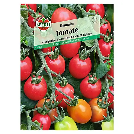 Sperli  Gemüsesamen Cherrytomate Umamini