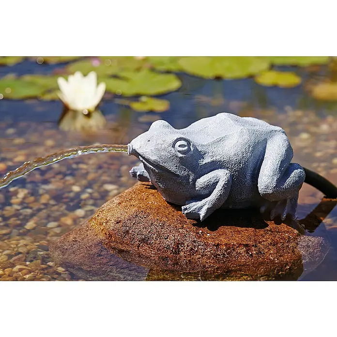 Oase Wasserspeier Frosch - Frosch, Größe Anschluss: 13 mm - Stimmungsaufnahme