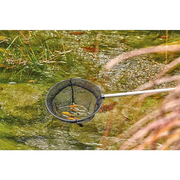 Oase Fischkescher - Durchmesser: 25 cm, Maschenweite: 9 mm - Anwendungsbeispiel