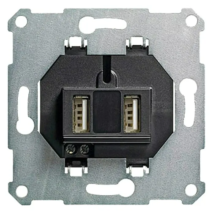 Gira Wandcontactdoos met USB - 2 aansluitingen, Uitgangsspanning: 5 V - Vooraanzicht