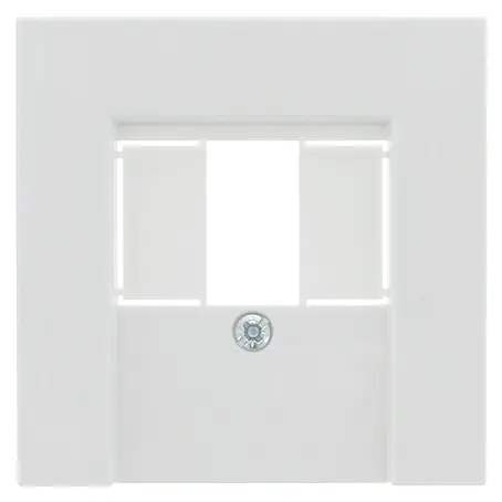 Gira System 55 TAE-afdekraam TAE/UAE/USB