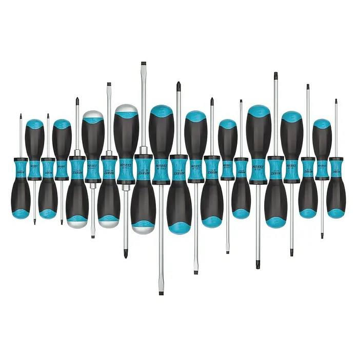 Hazet Schraubendreher-Set 810SPC/21 - 21 -tlg. - Draufsicht