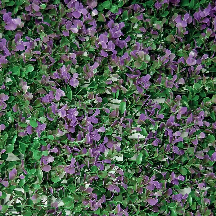 Jardín vertical Buxus - Plástico, L x An: 50 x 50 cm, Apto para: Decoración - Primer plano