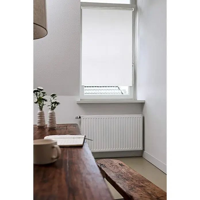 Expo Ambiente Rollo Mini - B x H: 45 x 150 cm, Weiß, Verdunkelnd - Stimmungsaufnahme