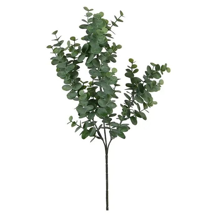 Kunstpflanze Eukalyptus - Höhe: 65 cm, Grün, Kunststoff - Vorderansicht